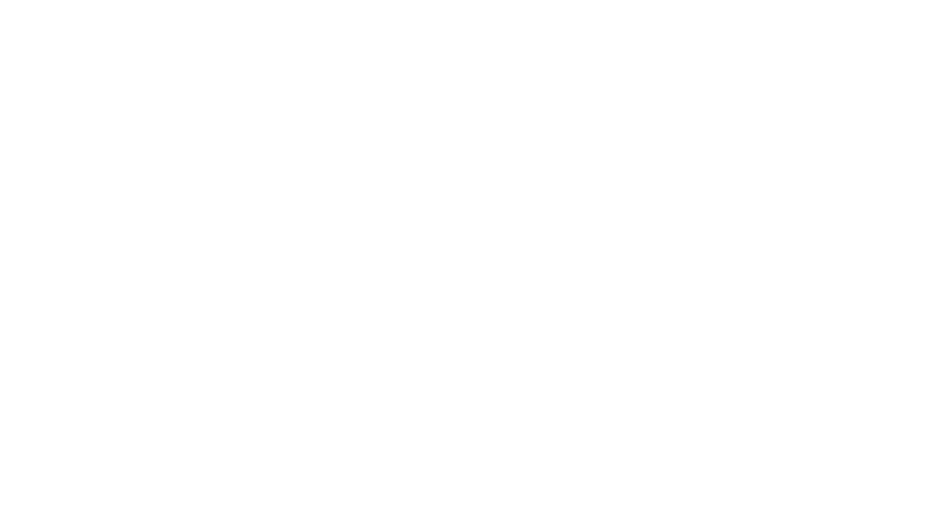 Schatz Waagen & Maschinen